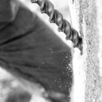 Elements of Light-3181bw